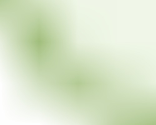 exif_bl.gif
