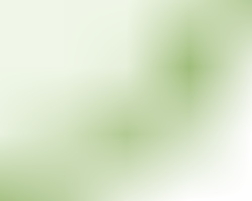 exif_br.gif